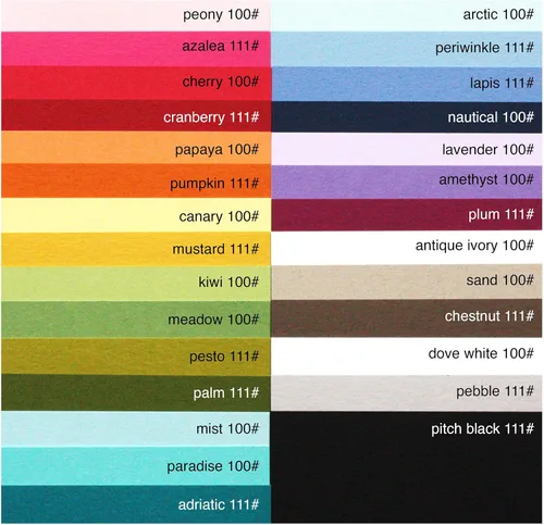 Vista 2 de Hero Arts Papel PS318, Hero Hues Premium Cardstock Amatista