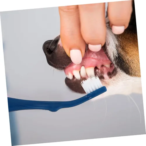 Vista 8 de TOYANDONA Juego de cepillos de dientes para mascotas, cepillo de limpieza de dientes de perro, 3 piezas de cerdas suaves de doble cabeza, mango