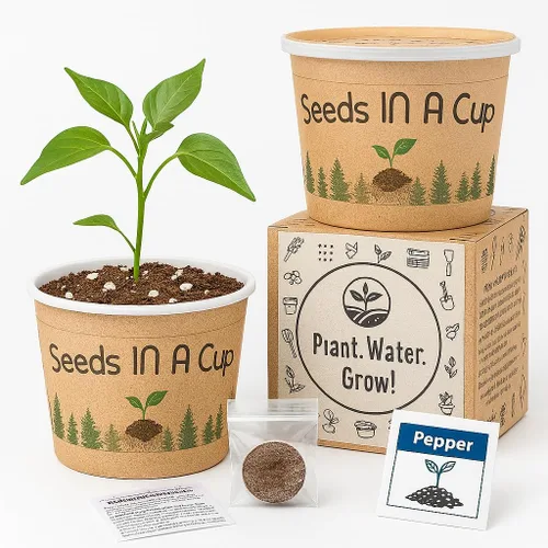 Vista 4 de Semillas en una taza - Kit de cultivo de plantas (espárragos)