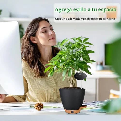 Vista 3 de Macetas de riego automático de 6 pulgadas para plantas de interior (paquete de 5) – Pequeñas macetas de plástico con ventana de nivel de agua