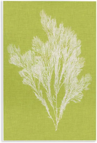 Vista 12 de Stupell Industries 'Coral Seaweed Blue White Beach Design' Placa de pared Sin marco