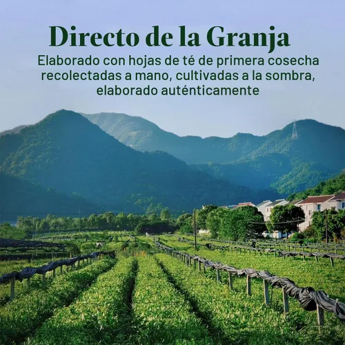 Vista 7 de CHAYEAH, Emerald Select Matcha, grado ceremonial orgánico, lata de 1.06 onzas