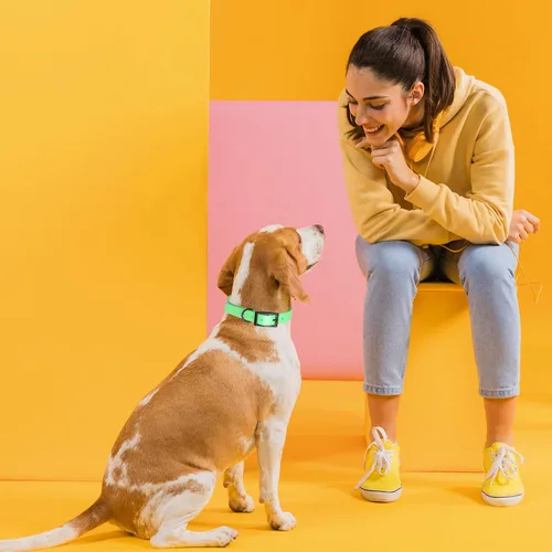 Vista 165 de Dogline Biothane - Collar impermeable para perro con hebilla de liberación rápida, resistente cincha de nailon recubierta con resistente y a prueba