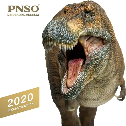 Vista 3 de PNSO Dinosaur Museums Series: Wilson the Tyrannosaurus Rex 1:35 T. Rex Exhibit Set, mandíbula de apertura, base de visualización, manual de 48