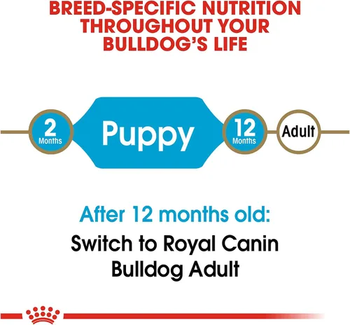 Vista 6 de ROYAL CANIN NUTRICIÓN SANA PARA RAZA bulldog cachorro, alimento seco para perro