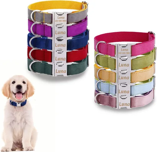 Vista 10 de Collar de perro personalizado con placa de nombre, ajustable resistente nailon personalizable collar de identificación grabado con hebilla de metal
