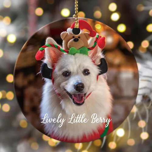 Vista 12 de 4 paquetes de adornos de Navidad personalizados con foto, adornos de Navidad personalizados para perros 2023 para árbol de Navidad, cachorros