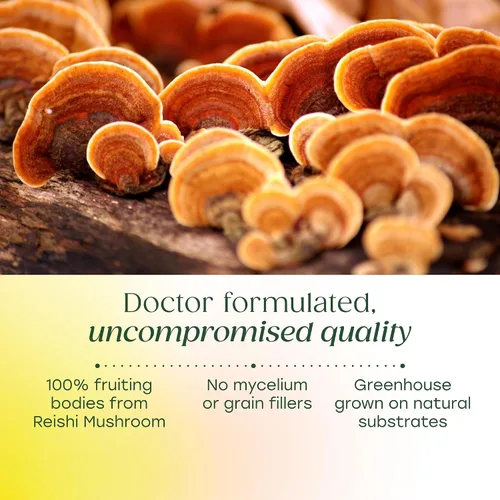 Vista 4 de MegaFood Superfood - Alivio del estrés de hongos Reishi clínicamente estudiado para reducir el estrés, formulado por médicos con Ashwagandha KSM 66