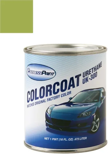 Vista 15 de Daewoo Leganza Automotive Pintura de Retoque