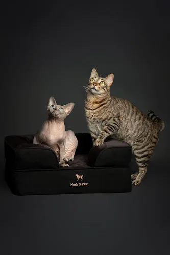 Vista 2 de NOAH & PAW Cama para perros pequeños, 20 x 15 x 8 pulgadas, cama para gatos de interior, espuma viscoelástica ortopédica de cáscara de huevo