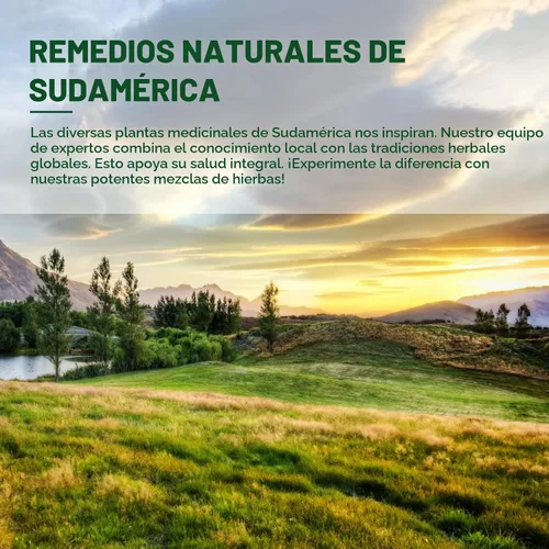 Vista 6 de Cleavers - Gotas de extracto de hierbas para apoyo de drenaje linfático, apoyo de limpieza desintoxicante con cola de caballo de diente de león.
