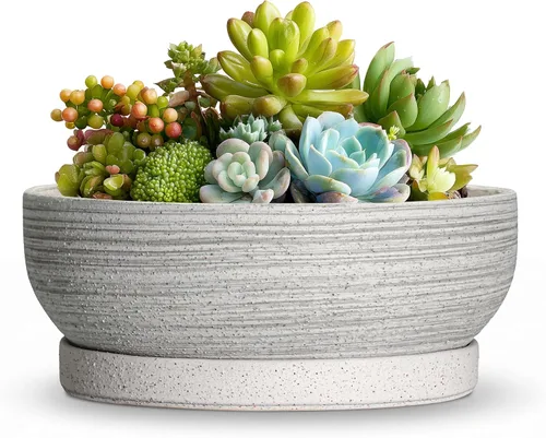 Vista 46 de Succulent Pots, 6 Inch Ceramic Bonsai Pots with Saucer, Blue