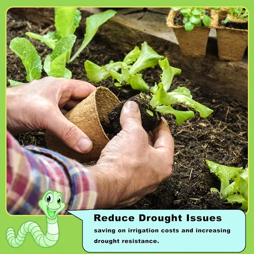 Vista 6 de Doter - Fertilizante orgánico de fundición de gusanos, 1.1 libras, fertilizante All Nature para jardinería, tomate, fresa, flores y hierbas