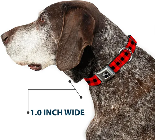 Vista 6 de Buckle-Down Collar de perro con hebilla de cinturón de seguridad, diseño a cuadros de búfalo, color negro/rojo, 1 pulgada de ancho, se adapta a