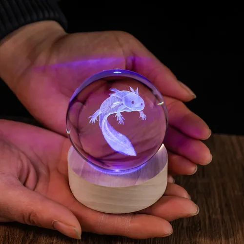 Vista 6 de Bola de Cristal 3D Axolotl de 60mm Axolotl Lámpara Nocturna de Juguete Regalos para Mujeres Esposa Novia Mamá Pareja Figura de Axolotl para Niñas