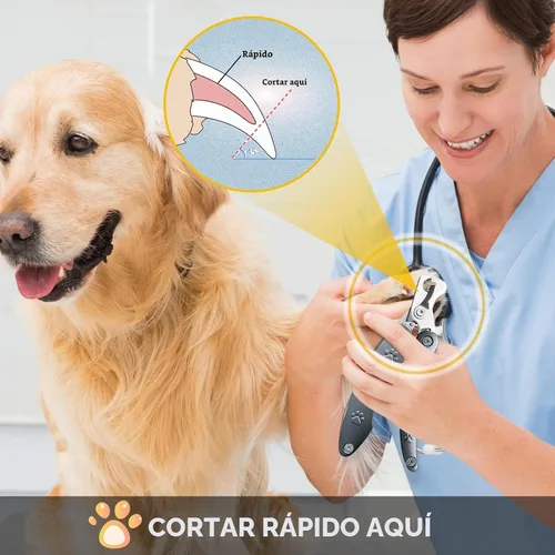Vista 7 de Los mejores cortaúñas para perros sensibles a la ansiedad con uñas gruesas