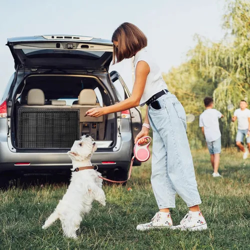 Vista 7 de Jaulas de doble puerta para perros de 36 pulgadas, jaula de alambre plegable de metal para perreras con bandeja para perros pequeños, medianos