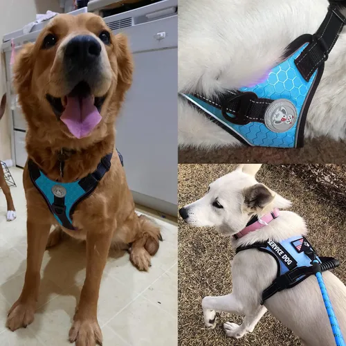 Vista 3 de Cymiler Chaleco de servicio para perro, arnés y correa para perro, arnés ajustable Oxford reflectante con asa para entrenamiento al aire libre Azul