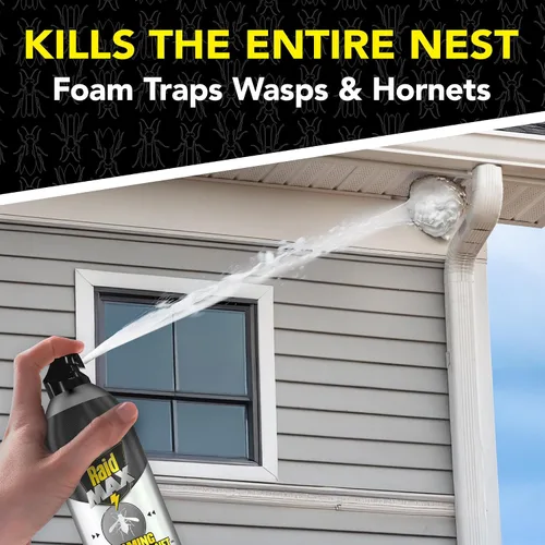 Vista 3 de Raid MAX Espray espumoso para avispas y avispones insectos, 16.5 onzas