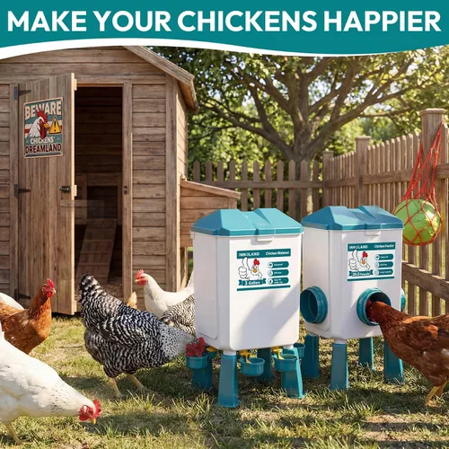 Vista 14 de INNOLAND Chicken Feeder and Waterer Set - 3 Gallon/26.5 Pounds