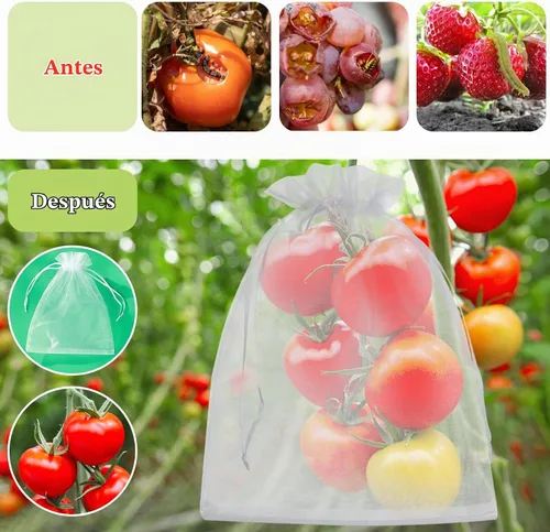 Vista 6 de 50 bolsas de protección de frutas, 6 x 9 pulgadas, bolsas de red de frutas blancas para árboles frutales, bolsa de malla con cordón, bolsas