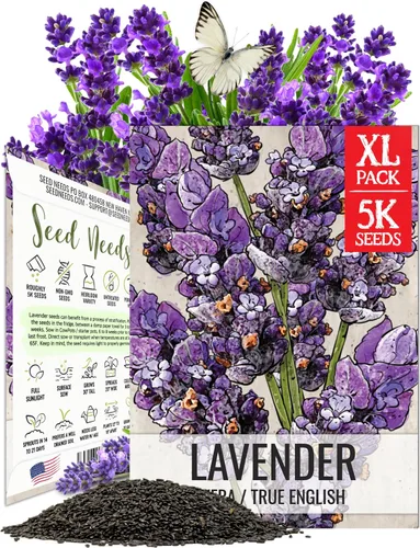 Vista 9 de Seed Needs Semillas de albahaca para plantar hierbas de albahaca tailandesa, reliquia sin OMG y sin tratar, cultiva un jardín de hierbas culinarias