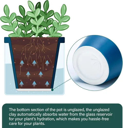 Vista 5 de D'vine Dev Maceta de Diseño de Riego Automático de 4 Pulgadas para Plantas de Interior, Maceta de Terracota Azul con Vaso Cilíndrico de Vidrio