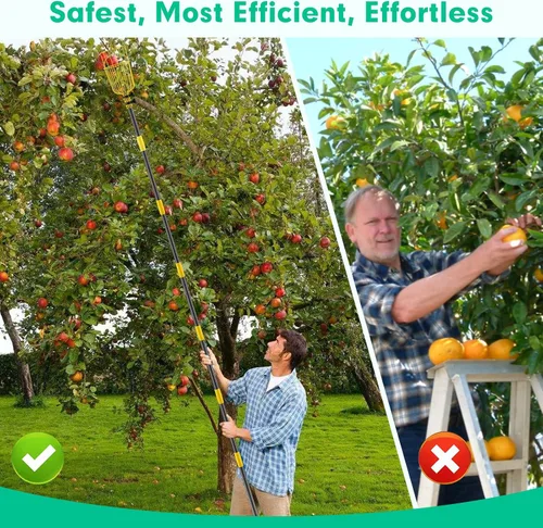 Vista 5 de Lilyvane Recolector de frutas, herramienta para recoger frutas de 66 pulgadas de largo con cesta de frutas, extensión de empalme ajustable