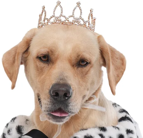 Vista 13 de Lovelyshop Pet Series Corona para Perro/Gato Redonda Completa Chapada en Oro con Diamantes de Imitación y Perlas Reales para Disfraz de Familia Real