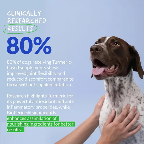Vista 3 de Cúrcuma para perros - Antiinflamatorio natural y alivio del dolor, 120