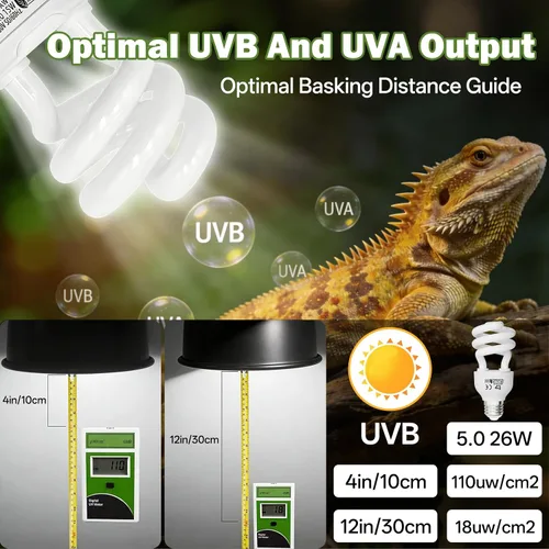 Vista 6 de Bombilla UVB de reptil 5.0 15W, base compacta de luz fluorescente