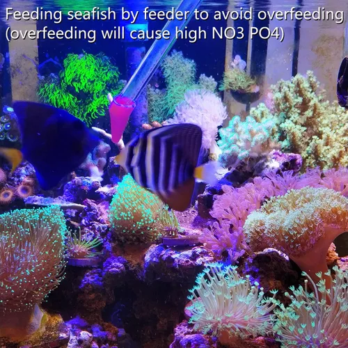 Vista 5 de Aquarium Choice Alimentador de coral de tubo largo de jeringa para fertilizante líquido, SPS HPS, herramienta de alimentación de coral