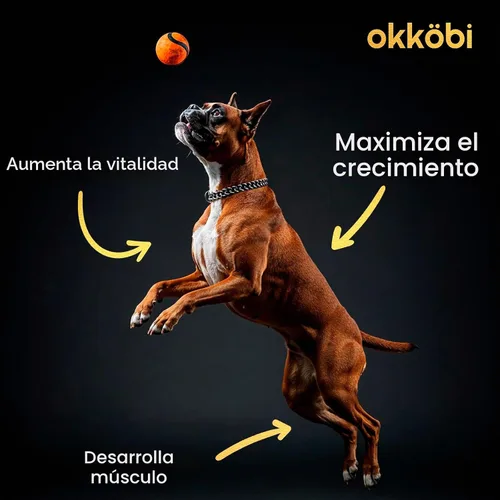 Vista 5 de Masticables 11 en 1 para Ganancia Muscular - Suplementos de Aumento de Peso para Perros con Alta Proteína y Aminoácidos - Constructor Muscular