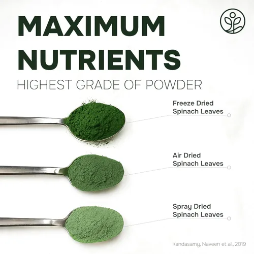 Vista 6 de Jungle Powders Polvo orgánico de arándanos silvestres de 5 onzas y polvo de espinacas de 5 onzas – Extractos liofilizados de hoja entera y bayas