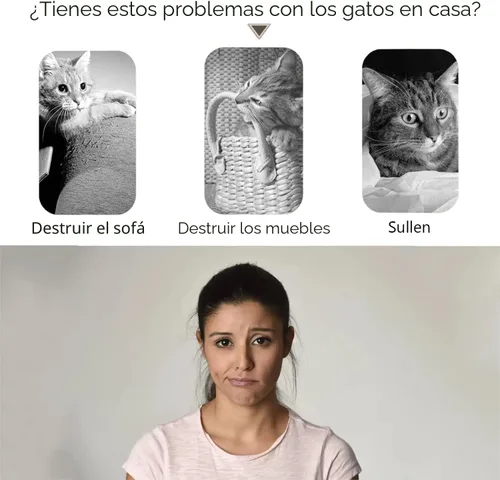 Vista 2 de Enkman Magic Organ Tabla Rascador para Gatos Bola de Gato Aventura El Juego Interactivo Definitivo para Ejercicio Mental y Físico para Gatos