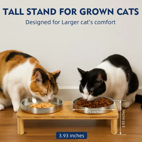 Vista 4 de DoogCat Cuencos elevados para gatos de interior – Mesa elevada de bambú para gatos con 2 platos de acero inoxidable, altura ajustable