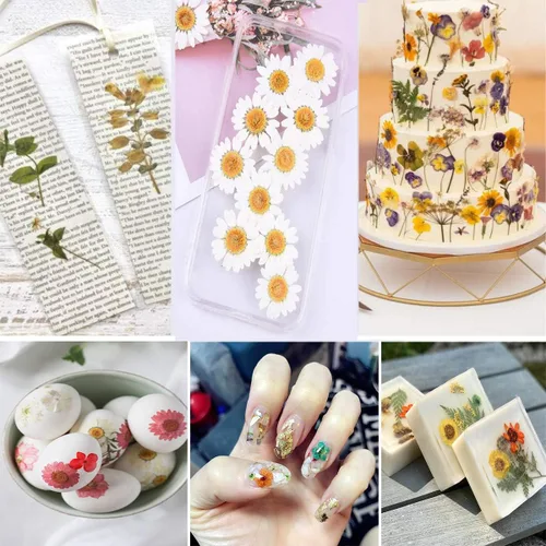 Vista 4 de 150 piezas de flores azules secas prensadas con pegatinas de mariposas - Juego de flores naturales reales de YouthBro para manualidades de resina
