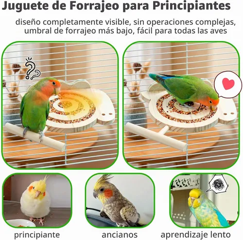 Vista 4 de Bird - Juguetes de forrajeo con perca, para principiantes, mayores