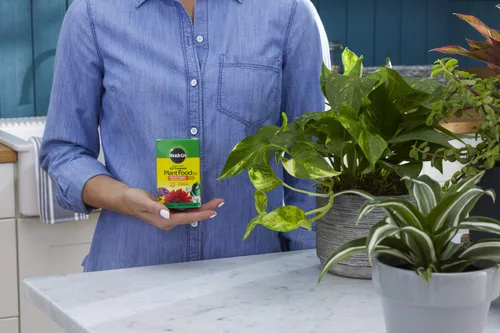 Vista 3 de Miracle-Gro Alimento vegetal soluble en agua, 8 onzas (paquete de 12)