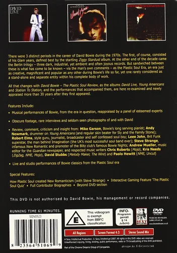 Vista 2 de David Bowie The Plastic Soul Review