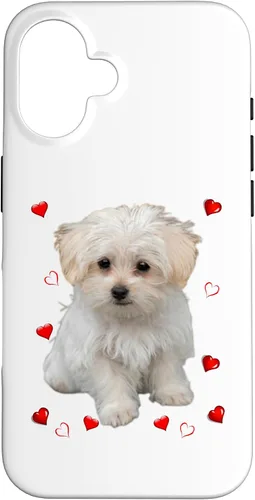 Vista 31 de Funda para iPhone 11 Maltipoo Mix Fans para amantes de los perros maltés