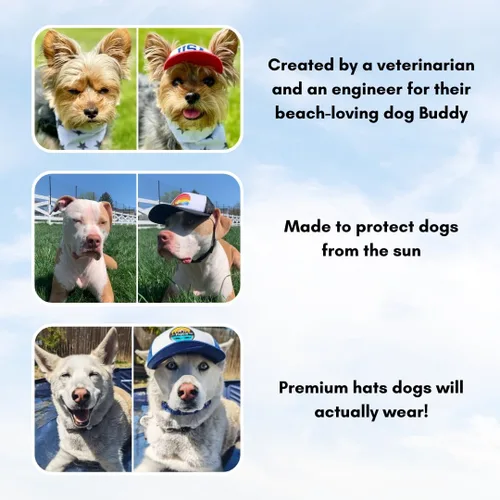Vista 4 de PupLid Gorras de béisbol para perros, protección solar elegante de alta calidad para el perro moderno (XS, negro)
