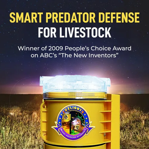 Vista 5 de Fox Lights Night Predator - Luz de control disuasorio con LED intermitentes, repelente de animales, protector de protección para bandadas, jardín