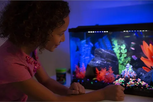 Vista 4 de GloFish Grava para acuario, grava para pecera, negra con detalles fluorescentes, complementa GloFish Tanks, bolsa de 5 libras Negro con reflejos