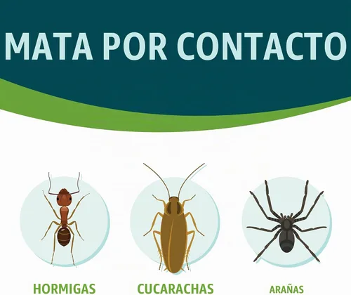 Vista 2 de Ecologic Ant & Roach Killer, 14 onzas, fórmula en aerosol hecha con aceite de albahaca, canela y clavo mata hormigas, cucarachas, grillos y arañas