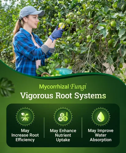 Vista 5 de FoxFarm Happy Frog - Fertilizante de cítricos y aguacate, con certificación OMRI, nitrógeno de liberación lenta, calcio y azufre para árboles
