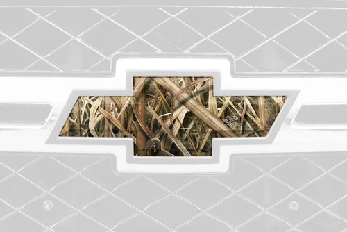 Vista 21 de Mossy Oak Graphics 14010-BI Break-Up Infinity Piel de emblema de auto, Blaze