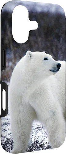 Vista 3 de Polar Bears Animal Nature Case for iPhone 17