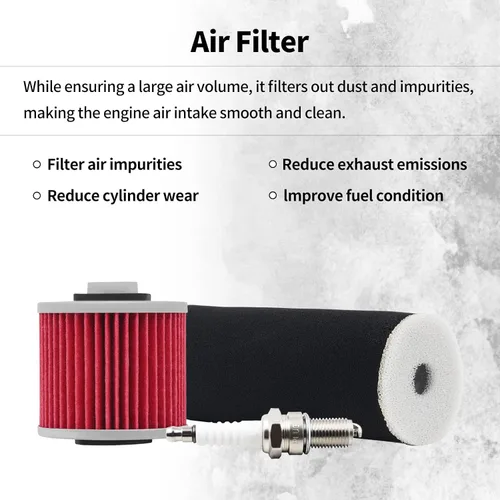 Vista 4 de 1UY-14451-00-00 - Bujía de filtro de aceite compatible con Yamaha Grizzly 600 YFM600F YFM600 4x4 2000-2001/Grizzly 600 YFM600FH 4x4 Hunter Edition