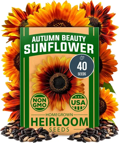 Vista 79 de HOME GROWN Semillas de zinnia rosa – 300 zinnias Luminosa 0.5g, semillas anuales de flores fáciles de cultivar para plantar al aire libre para 2026